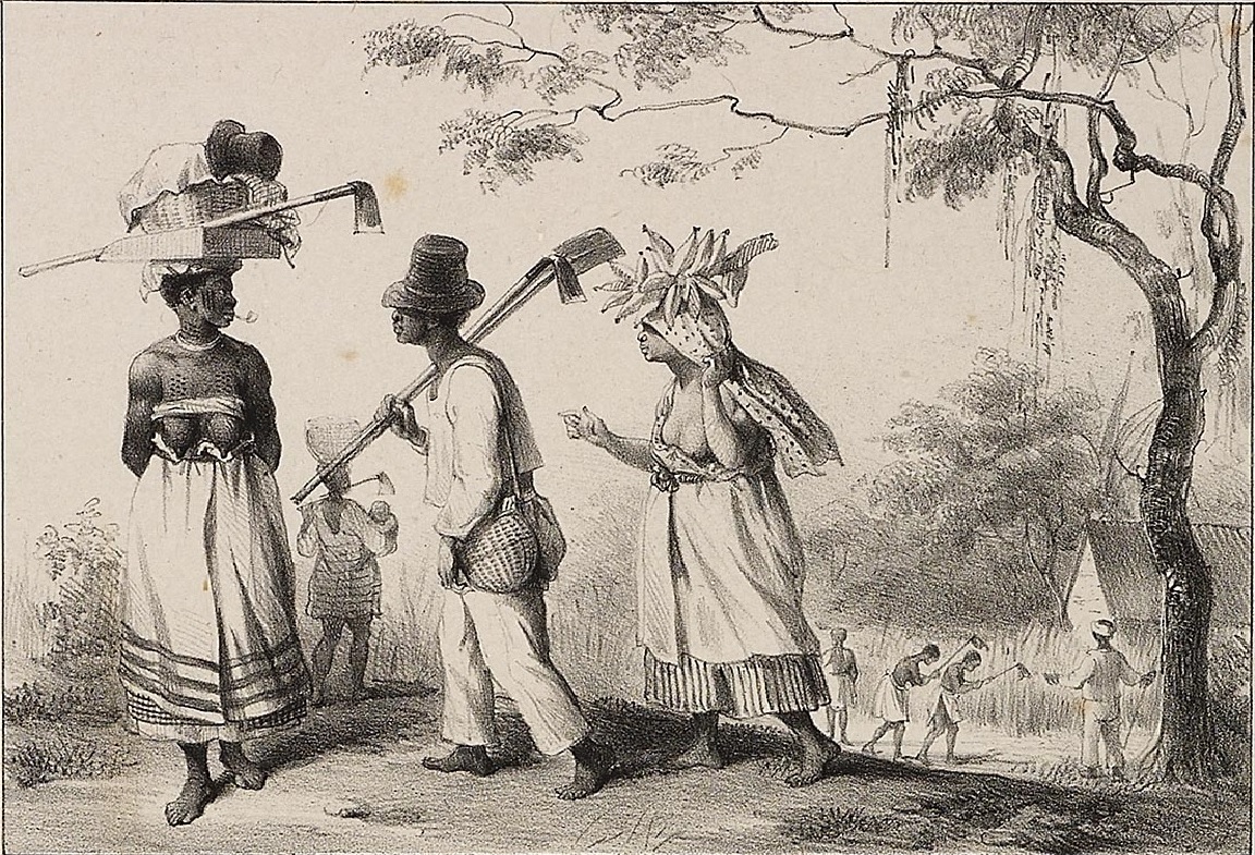 Benoit, Voyage au Surinam, 1839 (wikicommons)