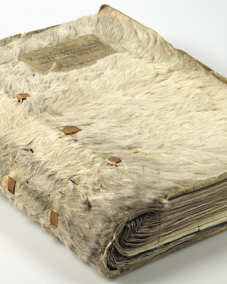 Het ruige register (1540)