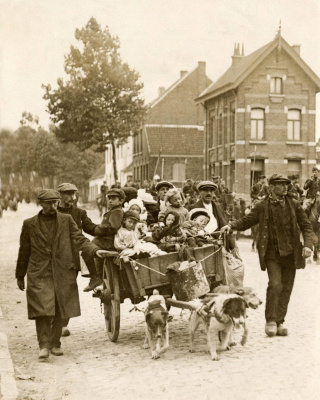 Belgische vluchtelingen trekken van Aalst naar Gent met een hondenkar (1914).