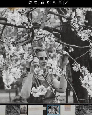 Voorbeeld nieuwe viewer foto- en kaartencollectie