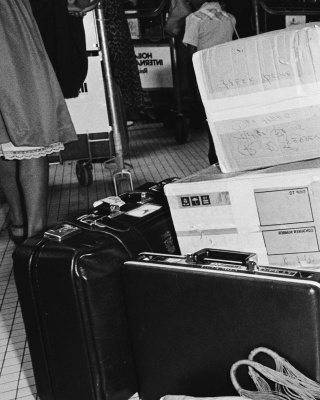 Aankomst Surinamers op Schiphol na afzetting President Ferrier, 14 augustus 1980