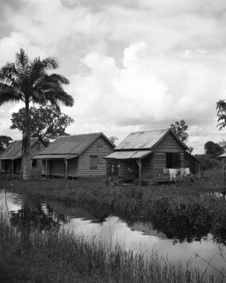 Plantage Leonsberg in Suriname