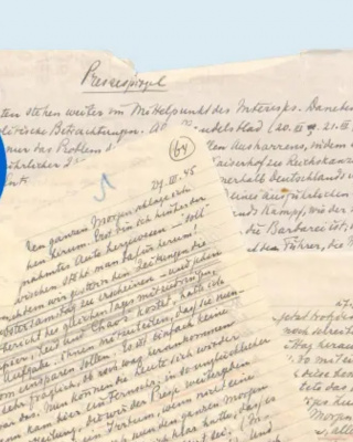 Screenshot inzien digitale CABR