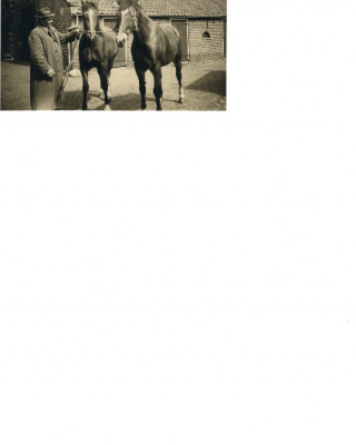 Opa met de paarden Hans en Nel.