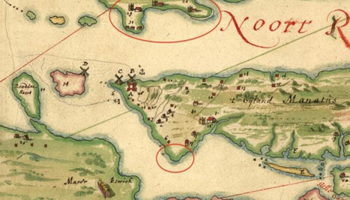 Detail of the Manatus Map