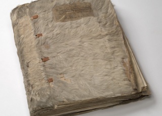 Ruig register van koeienhuid, 1447