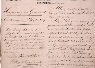 Koninklijk besluit over de invoering van de nieuwe grondwet (1848)