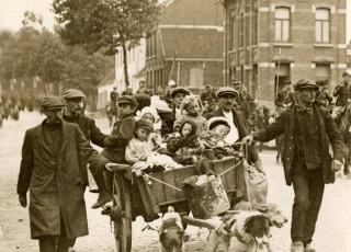 Belgische vluchtelingen trekken van Aalst naar Gent met een hondenkar (1914).