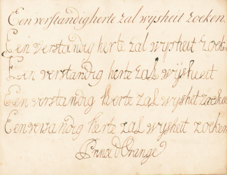 Piepjonge Willem V wordt stadhouder 1751