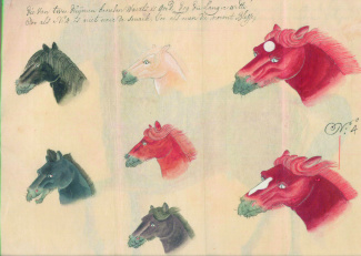 Perzische paarden