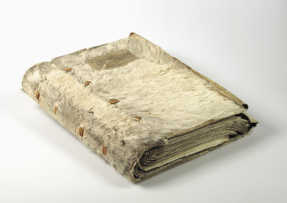 Het 'ruige' ambtenarenregister van Holland, 1518-1540 