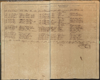 Nationaal Archief Curaçao, Burgerlijke Stand, “Register van geboren slaven, 1838”.
