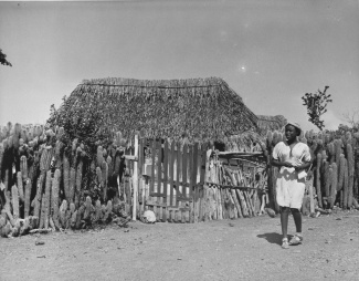 Jonge vrouw voor een kunukuhuis in de plaats Lagun (Nationaal Archief, Fotocollectie Anefo, 1940-1945)