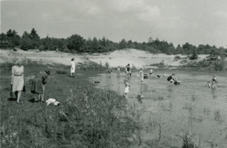 Het vennetje bij Bilthoven, augustus 1946
