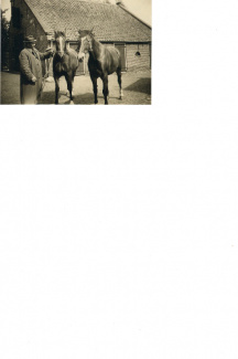 Opa met de paarden Hans en Nel.